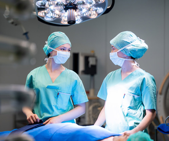 SALK Berufsgruppen 2